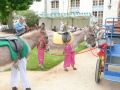 rodho 2013 (25).jpg